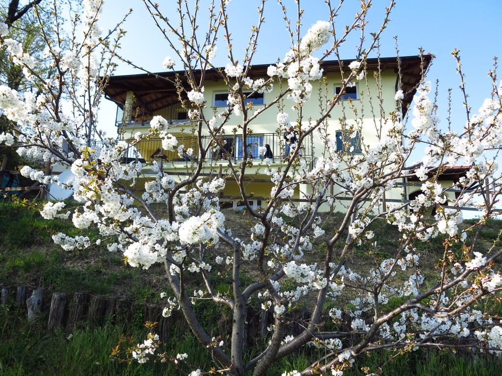 B&B Calligaris Dobrovo Dış mekan fotoğraf